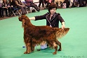 Crufts2011_2 132